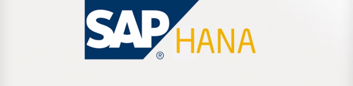 Семинар: SAP HANA & Big Data Technologies